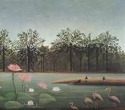 Henri Rousseau, The Flamingos